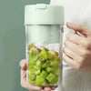 Professional Mini Juicer